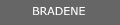 bradene1.gif